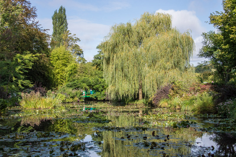 Etang des jardins de Claude Monet